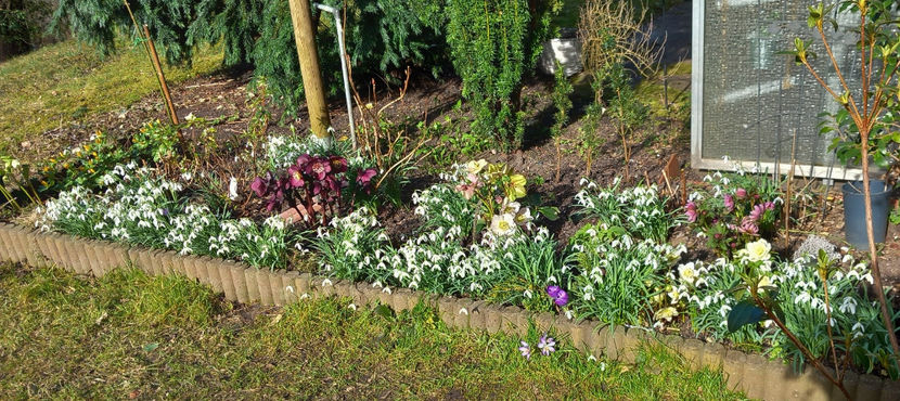  - 2024 - 04 - 2025 - 00 - Iarna