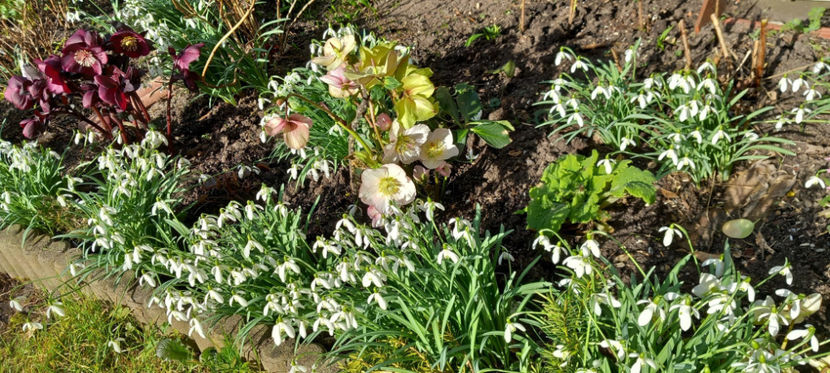  - 2024 - 04 - 2025 - 00 - Iarna