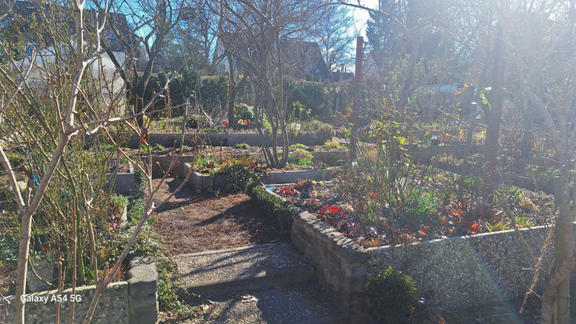  - 2024 - 04 - 2025 - 00 - Iarna