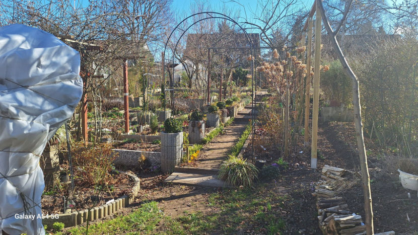 2025.03.19, - 9°C - 2024 - 04 - 2025 - 00 - Iarna