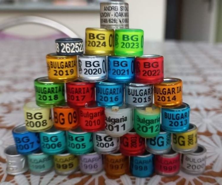  - Bulgaria