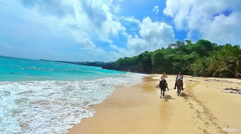 Beautiful Dominican Rep 15 - --- DOMINICAN REPUBLIC