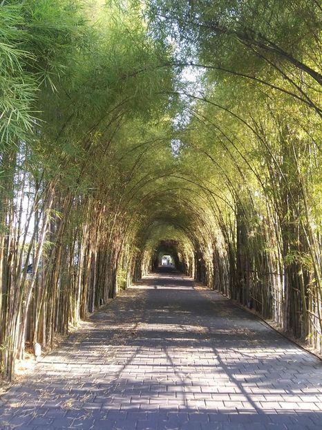 20240925_104744a - 2nd subalbum