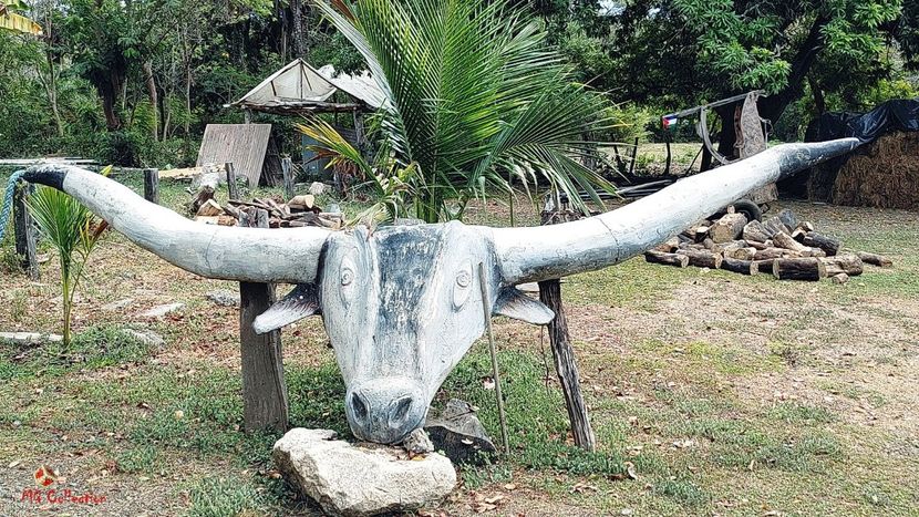 COSTA RICA - Farm Deco - --- COSTA RICA