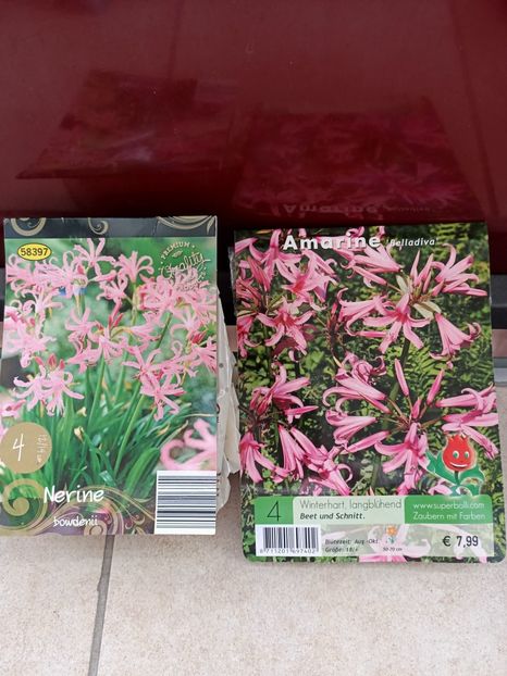 Să vedem ce diferență e între ele! - Achiziții 2025