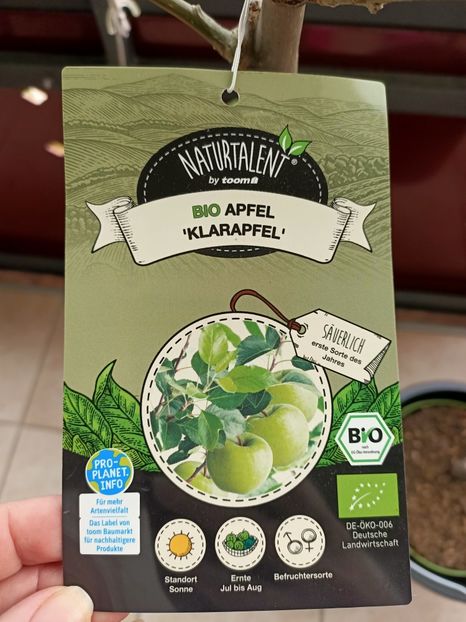  - Flori la ghiveci 2025