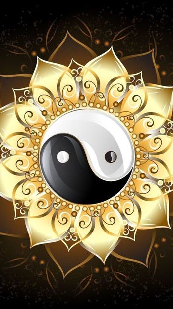  - ------------------- Yin Yang