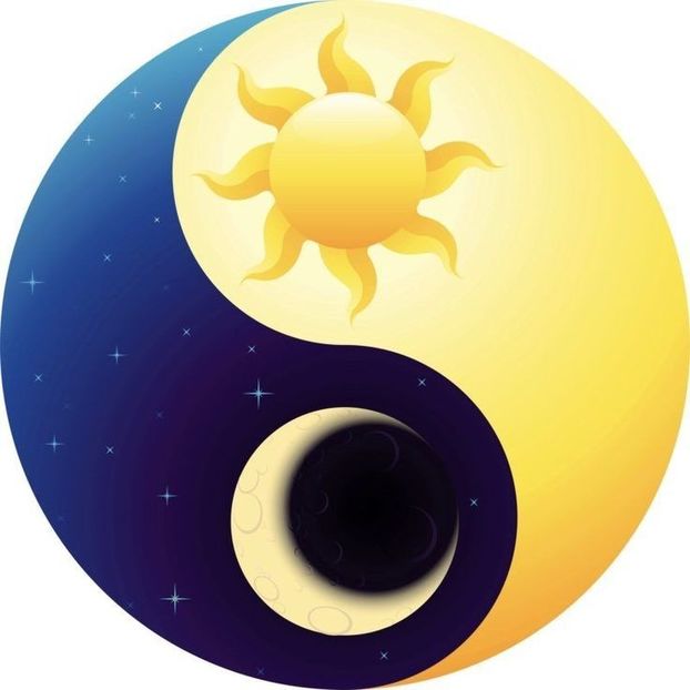  - ------------------- Yin Yang