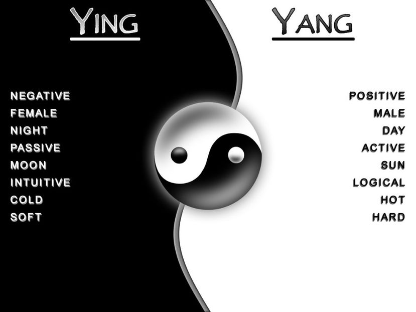  - ------------------- Yin Yang