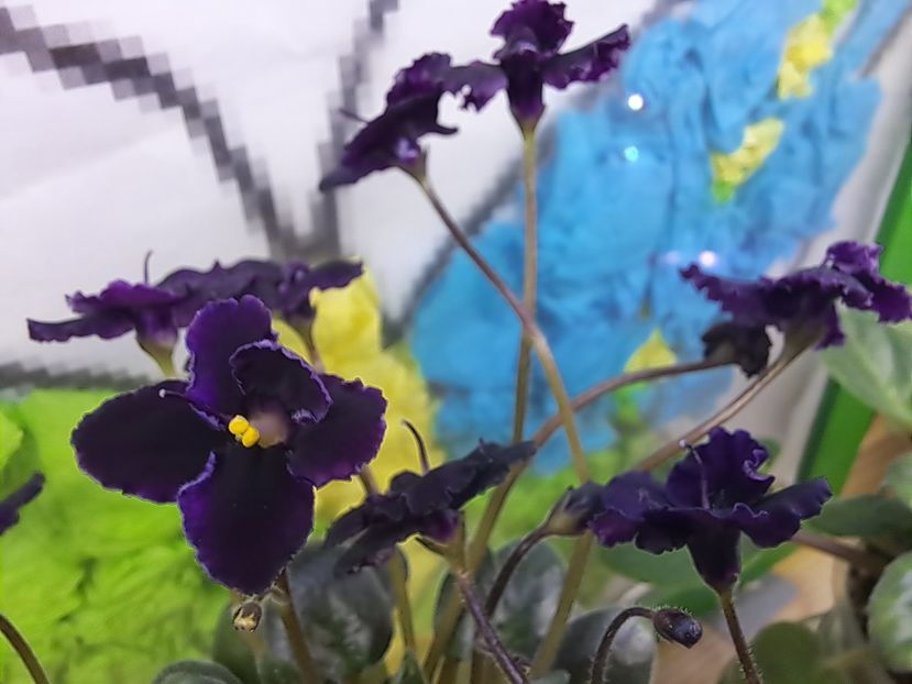  - Violeta Hunter s black talon