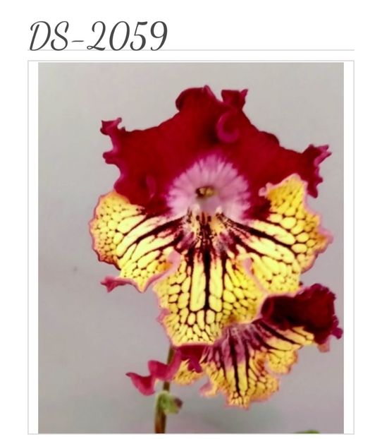  - 2025