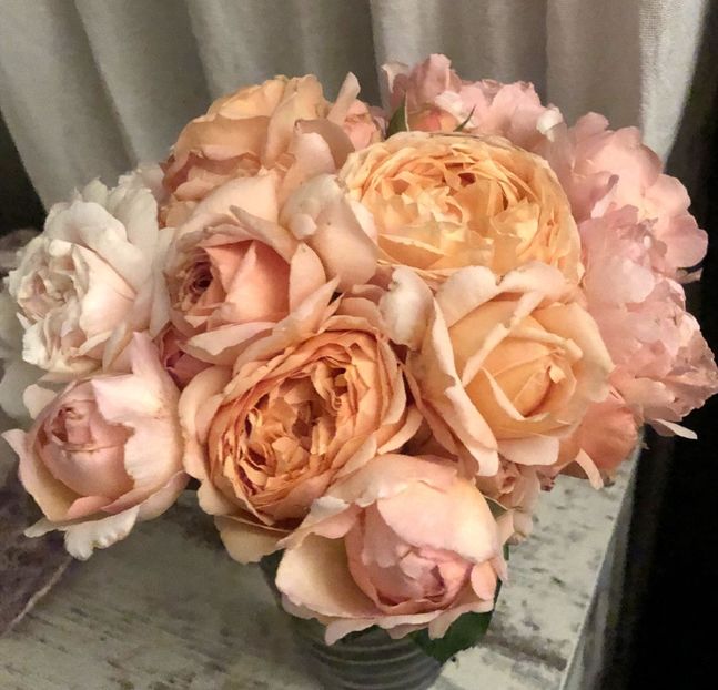 Capri1 - Trandafiri Buchete