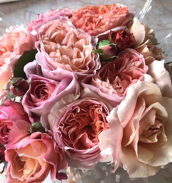 Chip&Dale - Trandafiri Buchete