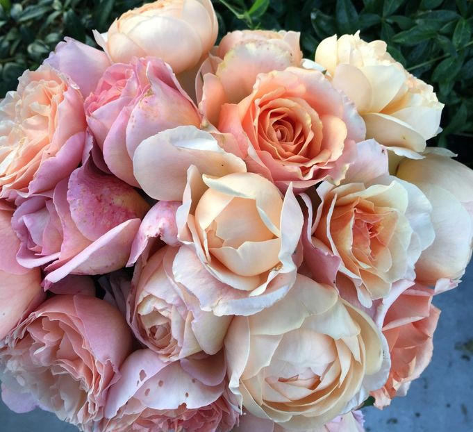  - Trandafiri Buchete