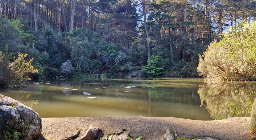  - 2025 Parcul palatului Monserat Sintra Portugalia