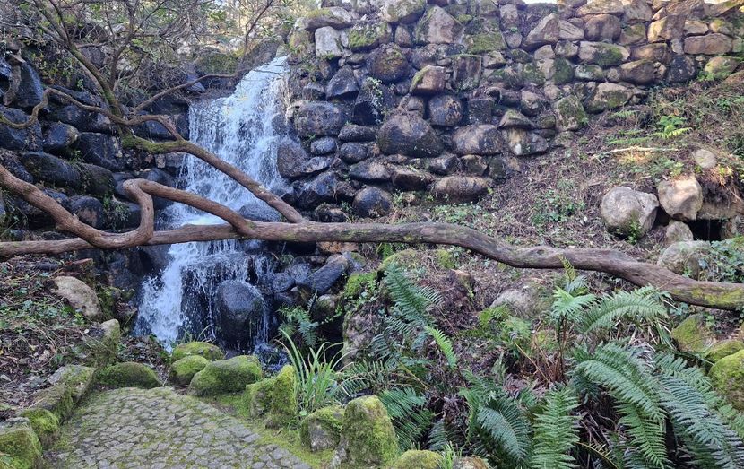  - 2025 Parcul palatului Monserat Sintra Portugalia