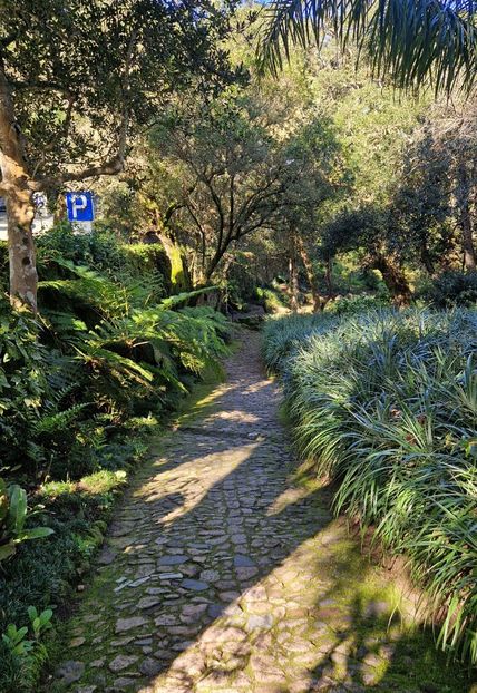  - 2025 Parcul palatului Monserat Sintra Portugalia