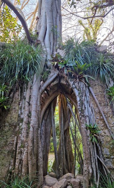  - 2025 Parcul palatului Monserat Sintra Portugalia