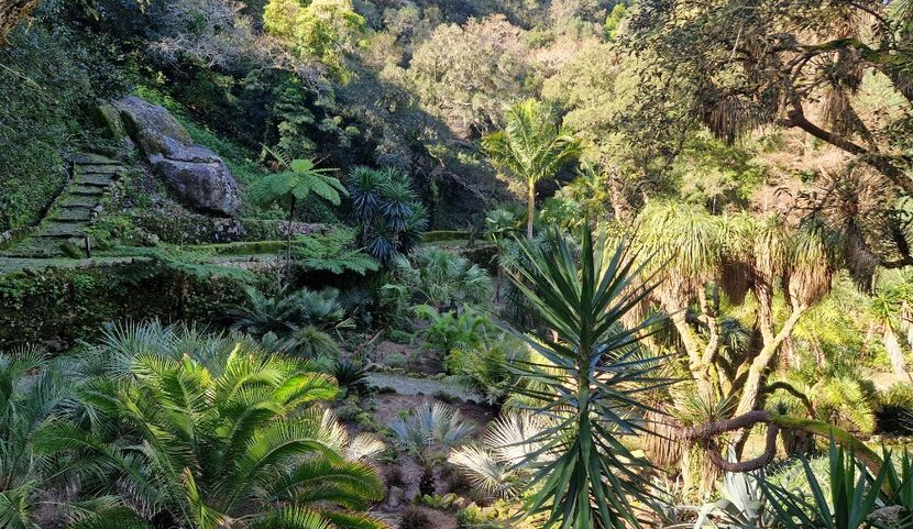 - 2025 Parcul palatului Monserat Sintra Portugalia