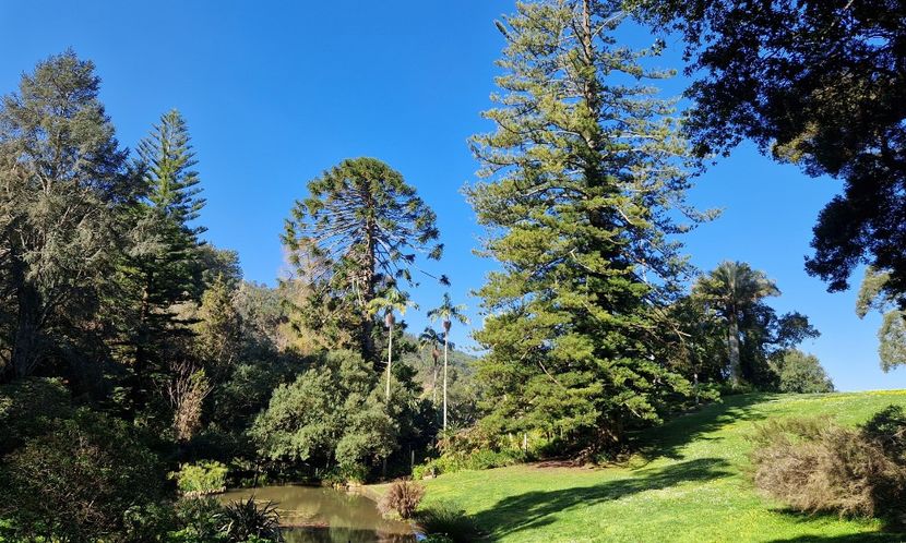  - 2025 Parcul palatului Monserat Sintra Portugalia