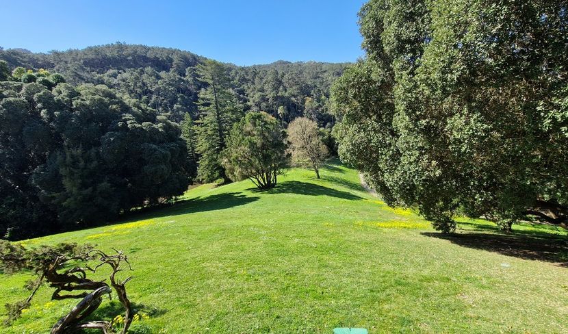  - 2025 Parcul palatului Monserat Sintra Portugalia