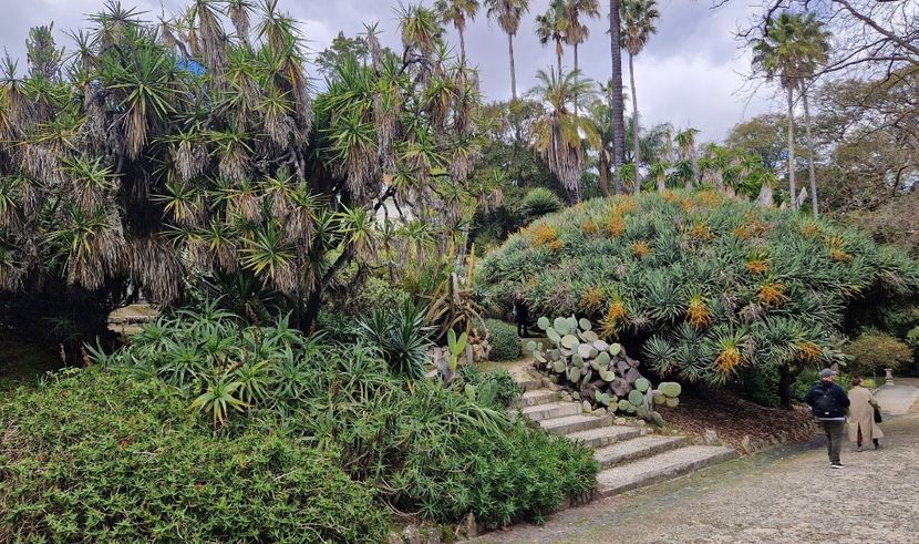  - 2025 Gradina botania Lisabona