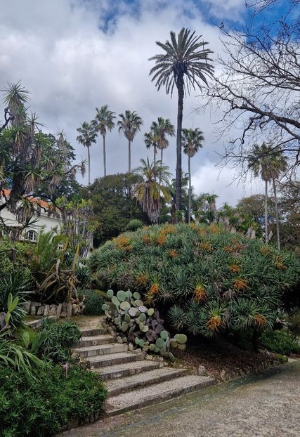  - 2025 Gradina botania Lisabona