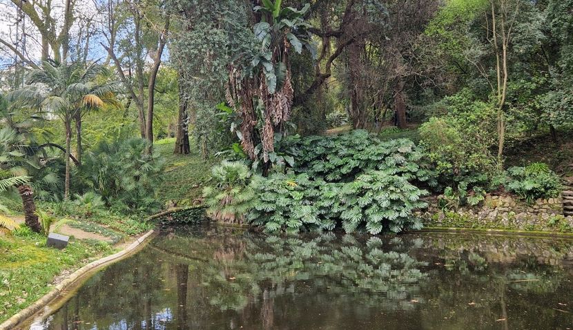  - 2025 Gradina botania Lisabona