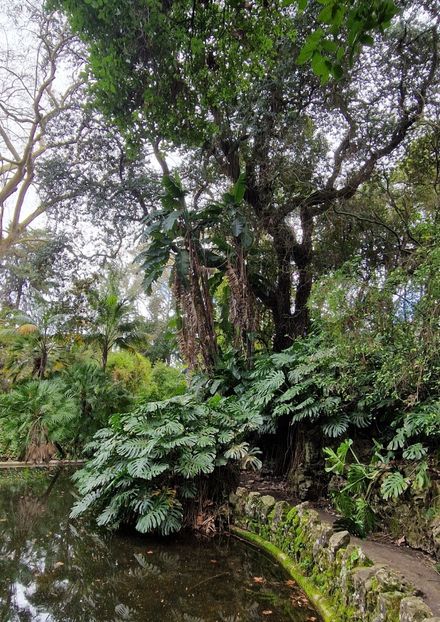  - 2025 Gradina botania Lisabona