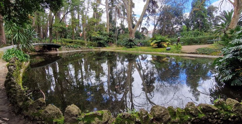  - 2025 Gradina botania Lisabona