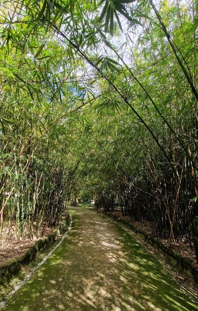  - 2025 Gradina botania Lisabona