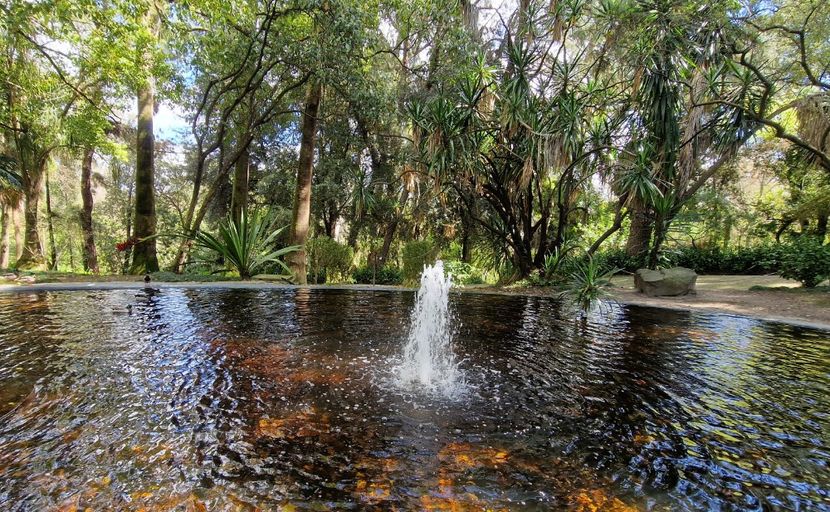  - 2025 Gradina botania Lisabona