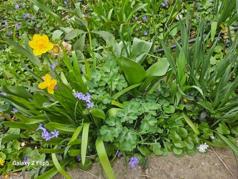  - Zambile 2021 23 24