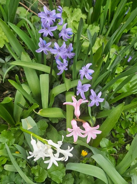  - Zambile 2021 23 24