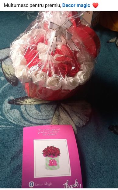  - Premii castigate la concursurile online