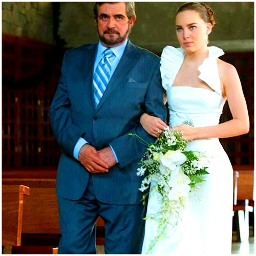 1263058539012_f - camaleones