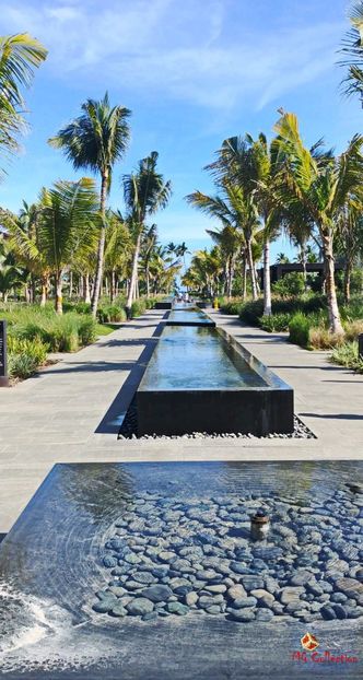 Punta Cana 4 - --- DOMINICAN REPUBLIC