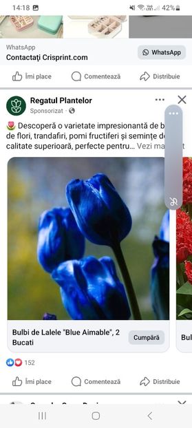 Screenshot_20250328_141826_Facebook - Lalele Blue Aimable