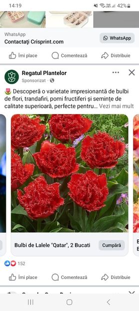 Screenshot_20250328_141921_Facebook - Lalele qatar