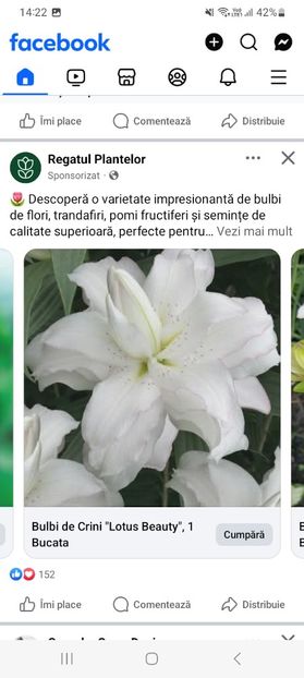 Screenshot_20250328_142222_Facebook - Crin lotus beauty