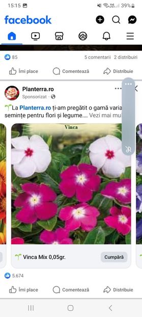 Screenshot_20250328_151517_Facebook - Vinca mix