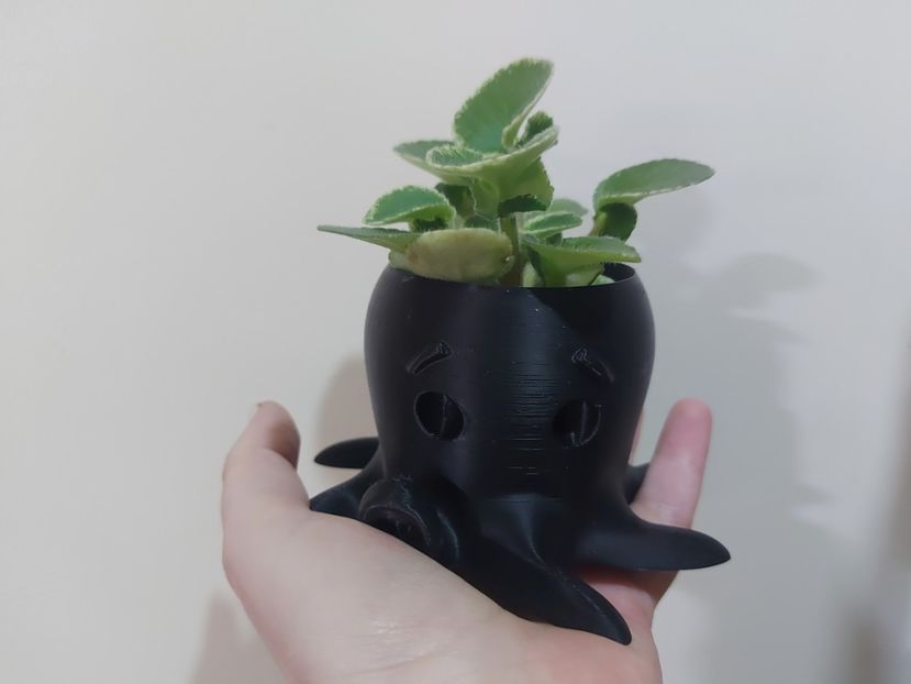  - Adorabile ghivecele