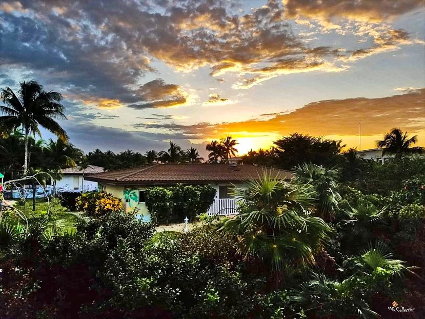 Melia Cayo Santa Maria Resort 4 - --- CUBA