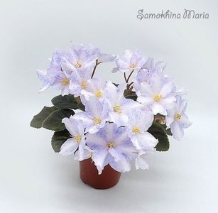 N-Severina - rez Rodi