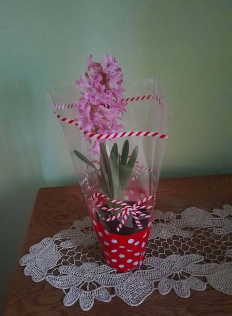 Zambila - Florile mele