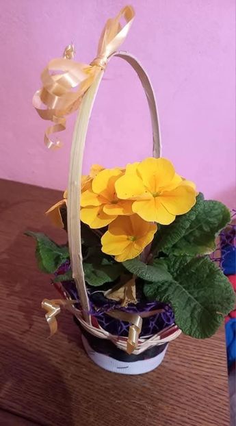  - Florile mele