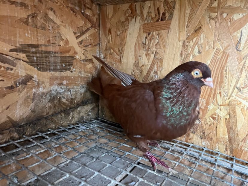 756/24 - 7-lot zbor 2024