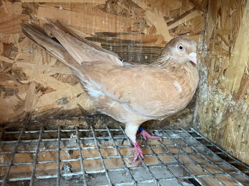 767/24 - 7-lot zbor 2024