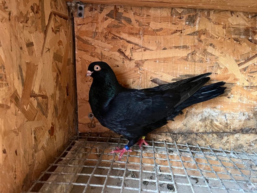 771/24 - 7-lot zbor 2024