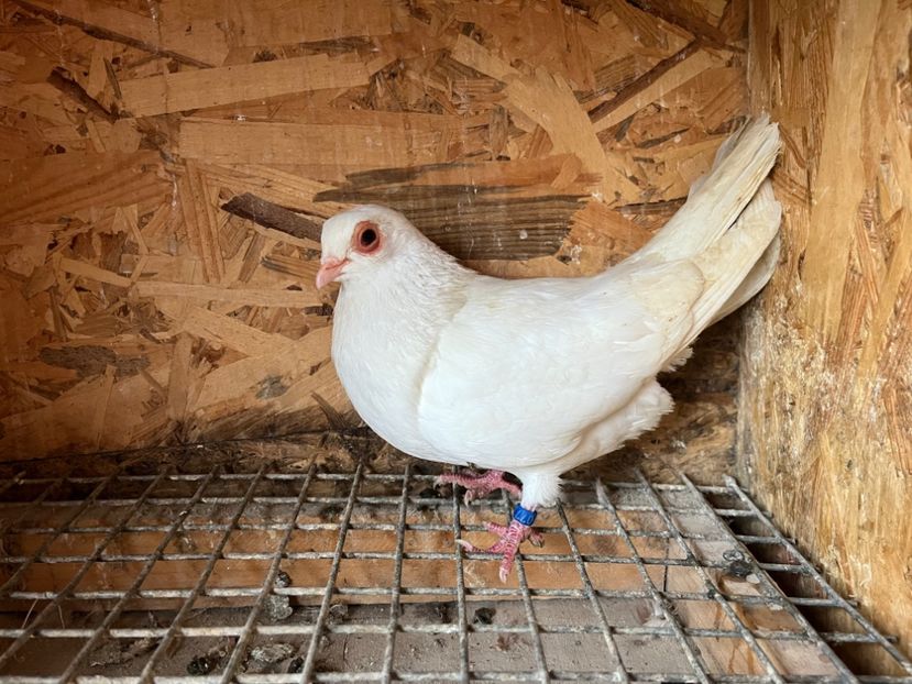 772/24 - 7-lot zbor 2024